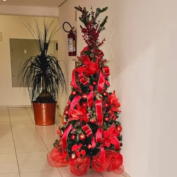 WhatsApp Image 2025-08-18 at 19.59.56