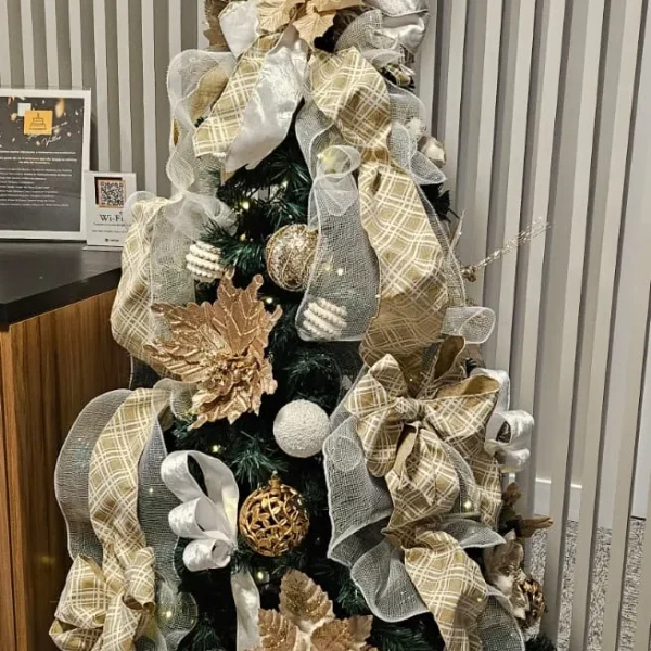 WhatsApp Image 2025-08-18 at 20.13.20