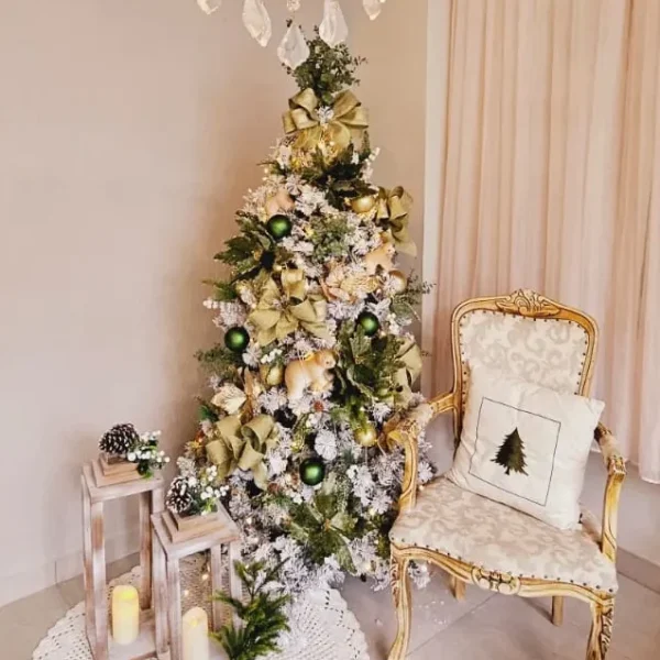 WhatsApp Image 2025-08-18 at 20.17.09