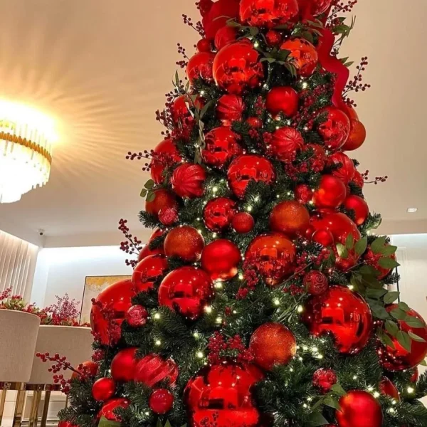 WhatsApp Image 2025-08-18 at 20.18.07